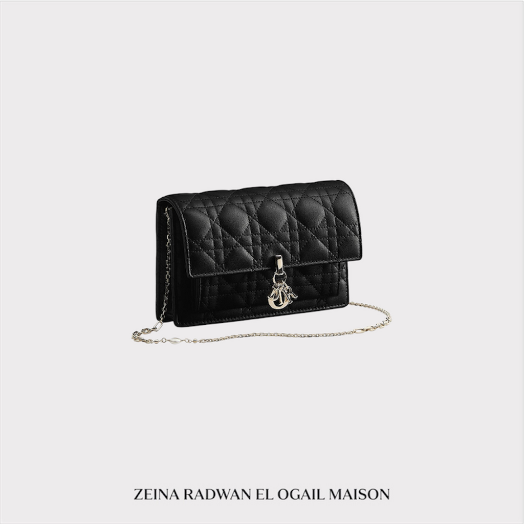 Dior Daily Pouch With Chain