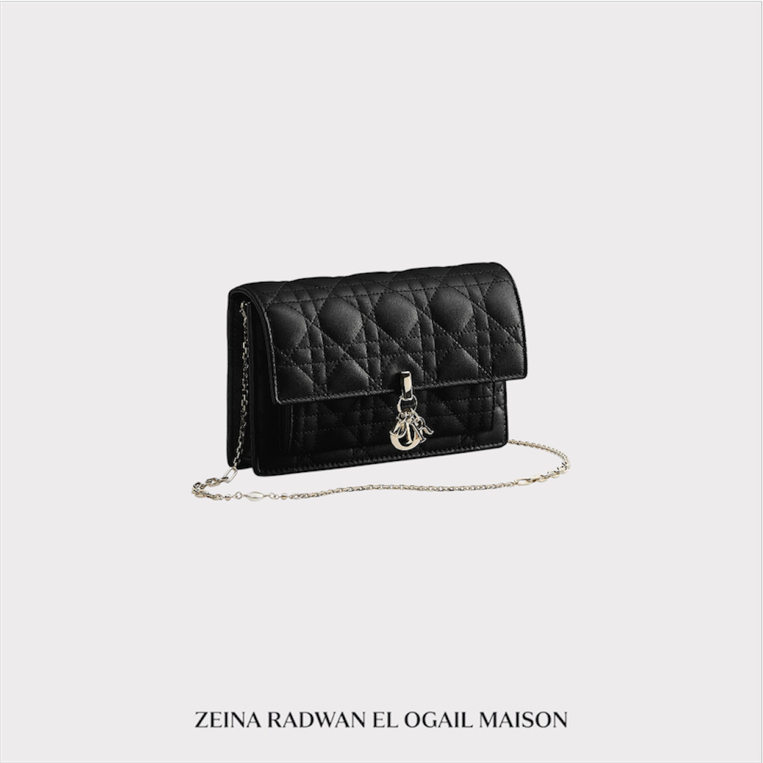 Dior Daily Pouch With Chain