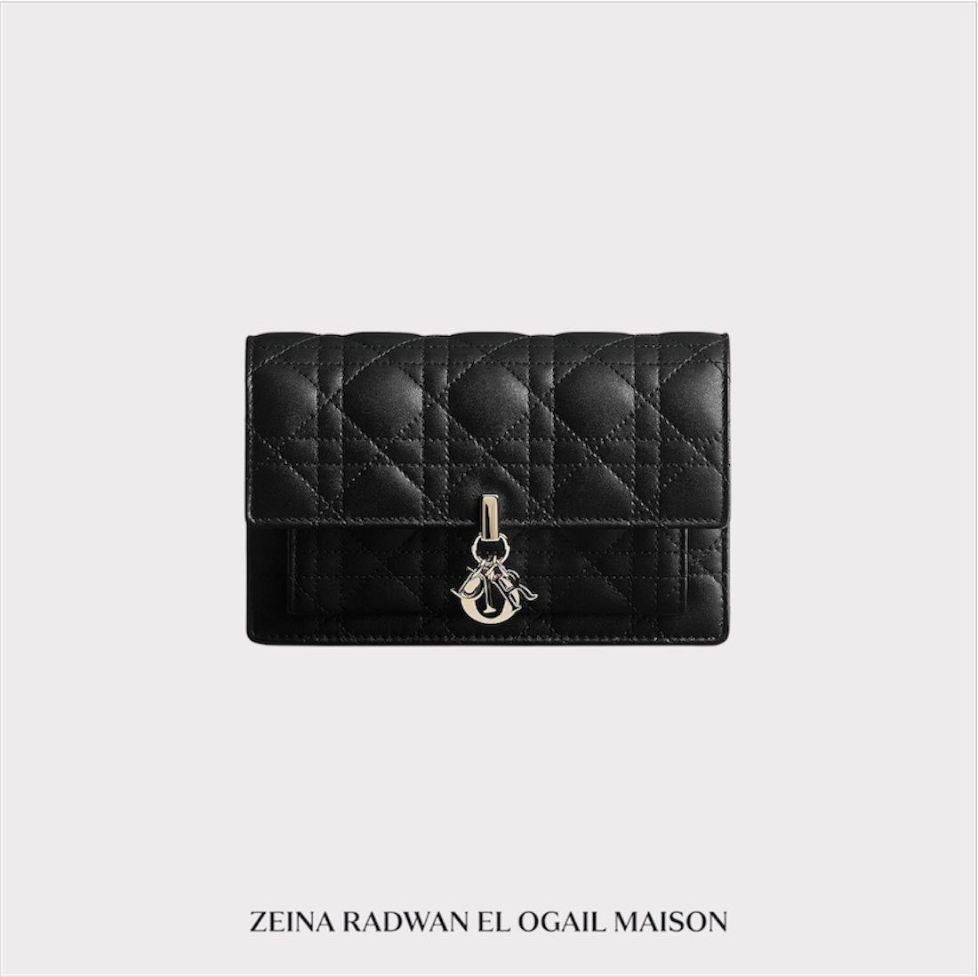 Dior Daily Pouch With Chain