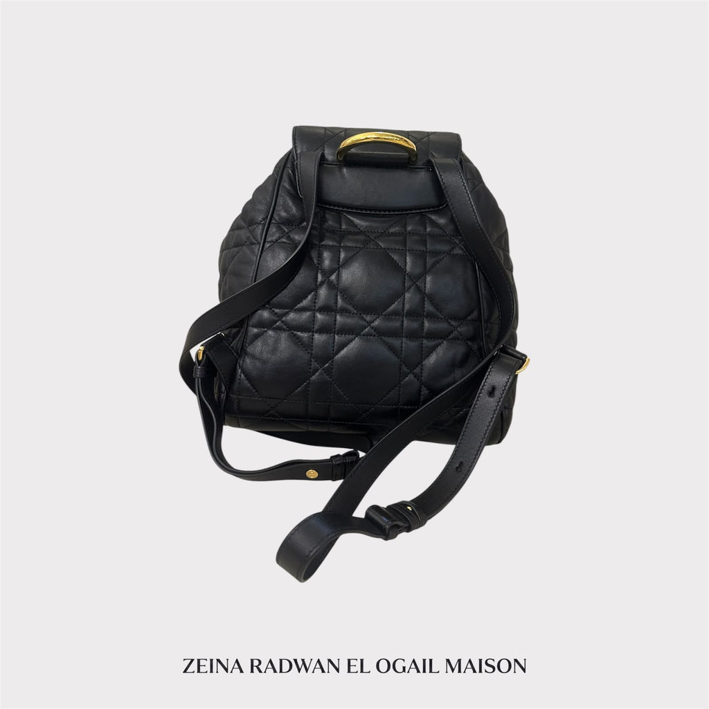 Dior Medium Dior Caro Backpack