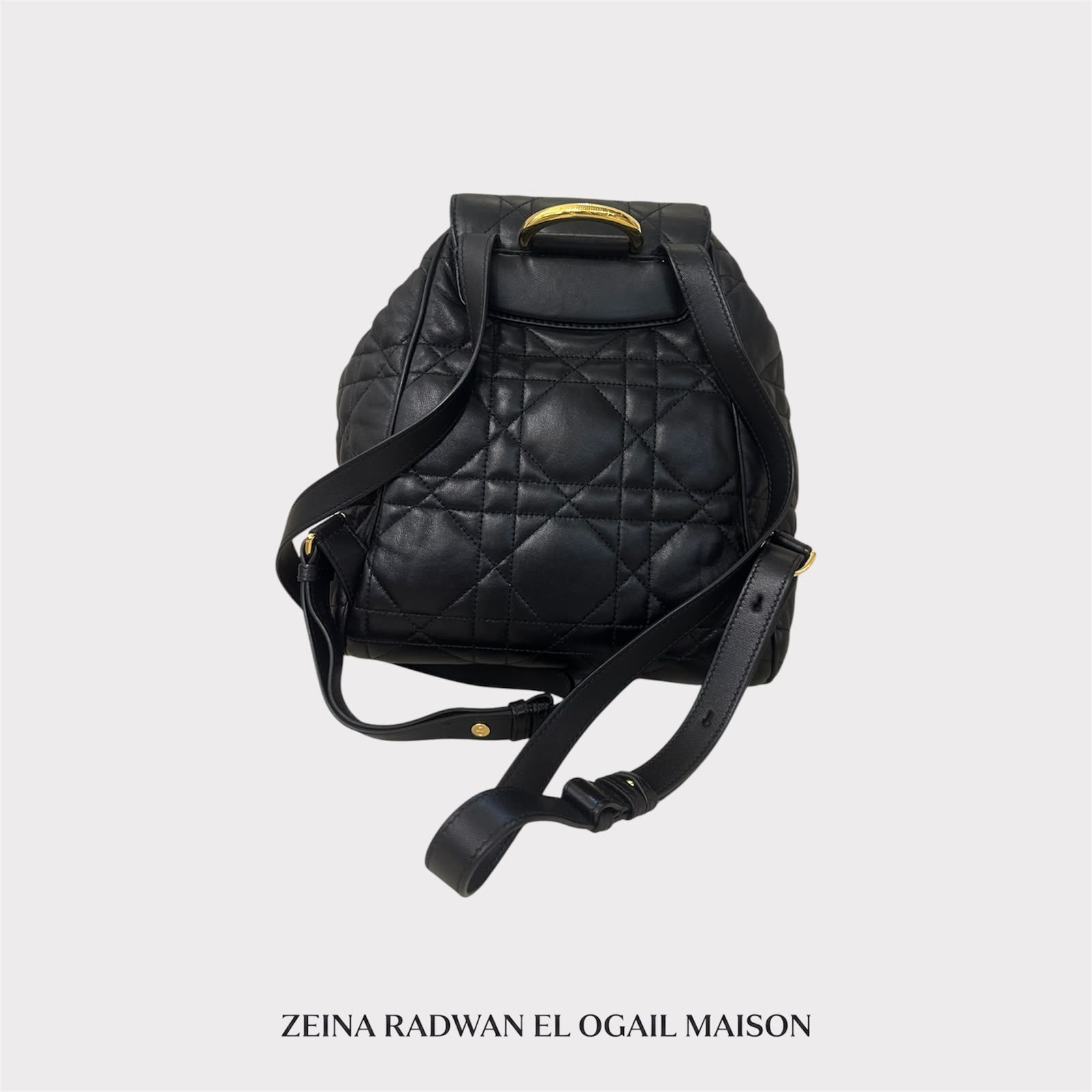 Dior Medium Dior Caro Backpack