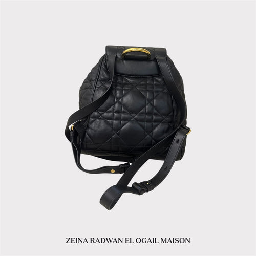 Dior Medium Dior Caro Backpack