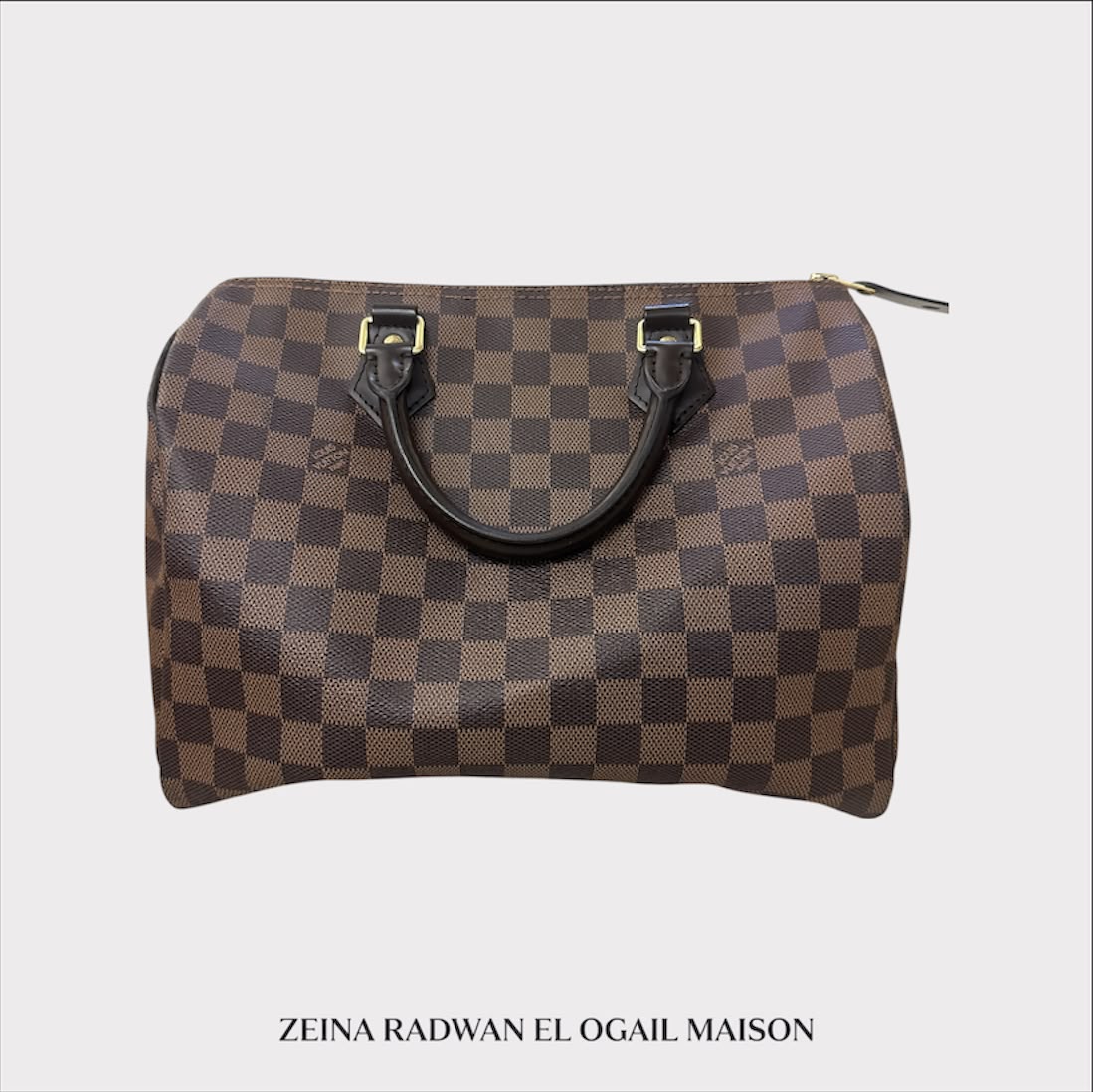 Louis Vuitton Speedy 30 Handbag